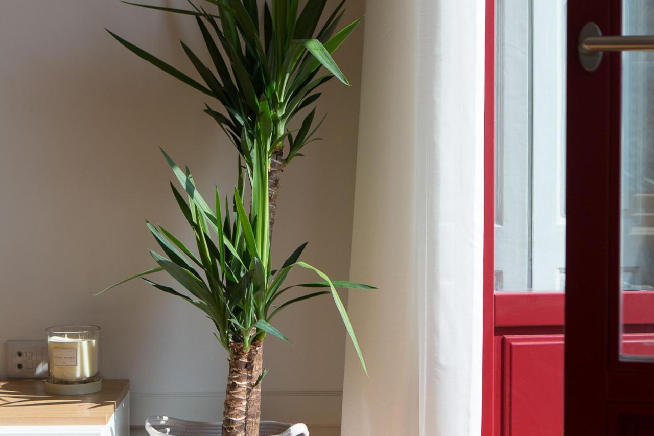 Lovelystay - Martires Boutique Flat Porto Zewnętrze zdjęcie